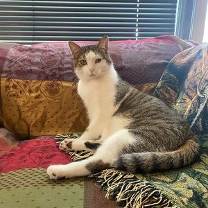 Meet your Posher, Pam